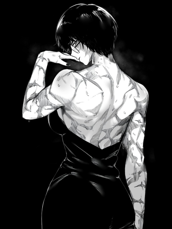 I Died in a Knife Fight and Reincarnated into Jujutsu Kaisen