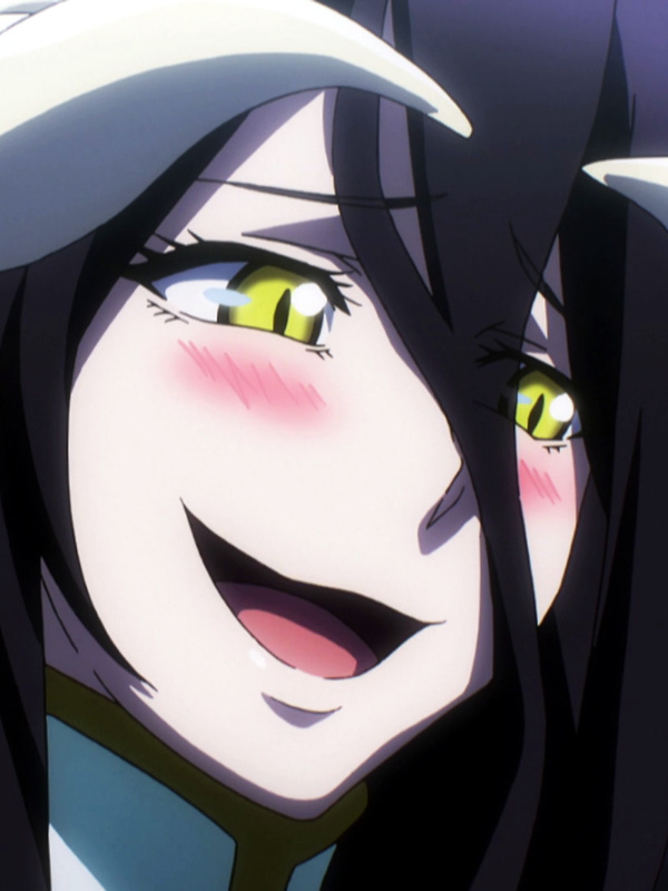 Overlord: I’ve Been Recruiting Followers in Another World