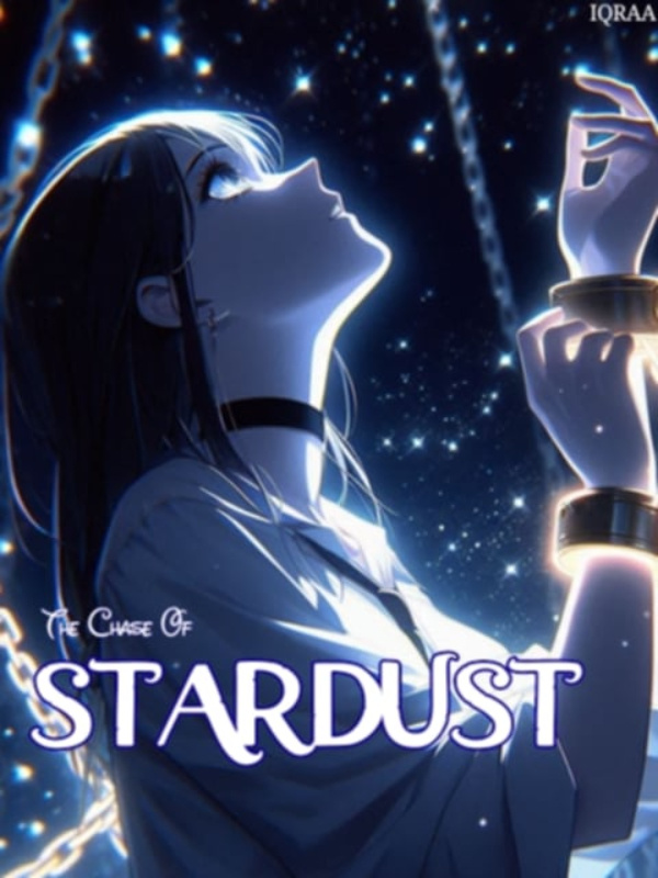 THE CHASE OF STARDUST