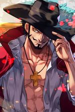As Mihawk in One Piece