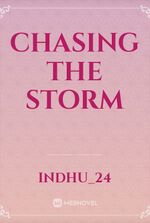 Chasing the storm