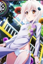 DxD: The Pale Puppeteer