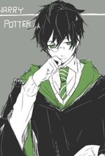 Harry Potter: The Greatest Assassin