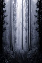 Necromancer After the Apocalypse
