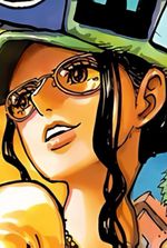 One Piece: The Multiverse Simulator