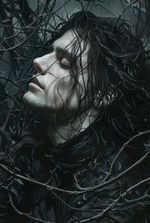 Secrets of Regulus Black