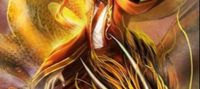 Father is of the dragon clan and also my partner