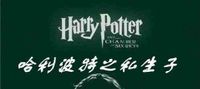 Harry Potter's Bastard