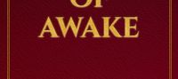 Illusion of Awake