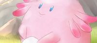 Pokemon: Who Made you a Gym Leader!?
