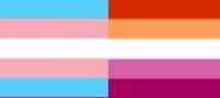 Psycho-Psychiatrically Aberrant Transgender Romance: Sapphic-Internal Roomates (Eggs 90% off!)