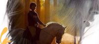 SHADOW OF THE HEIRESS