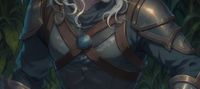 Witcher: The Half Elf